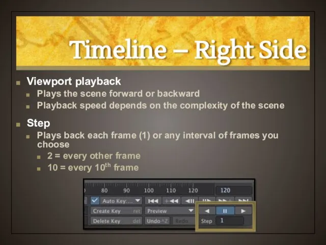 Timeline – Right Side Viewport playback Plays the scene forward or