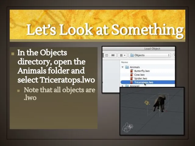 Let’s Look at Something In the Objects directory, open the Animals