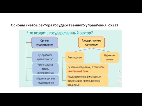 Основы счетов сектора государственного управления: охват