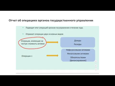 Отчет об операциях органов государственного управления