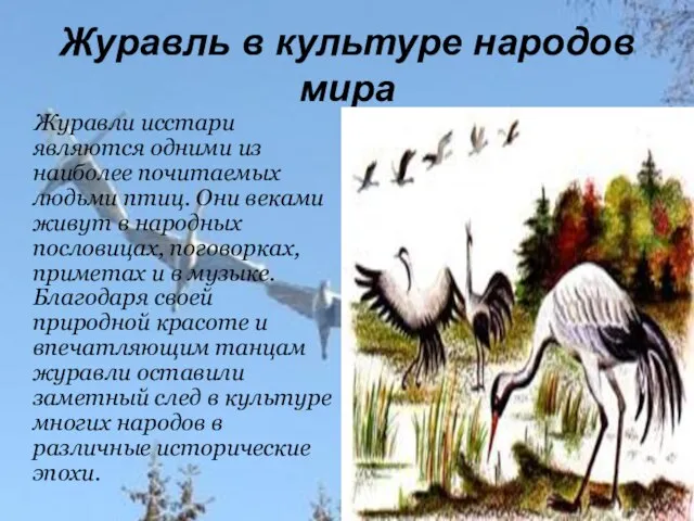 праздник Белых журавлей Журавль в культуре народов мира Журавли исстари являются