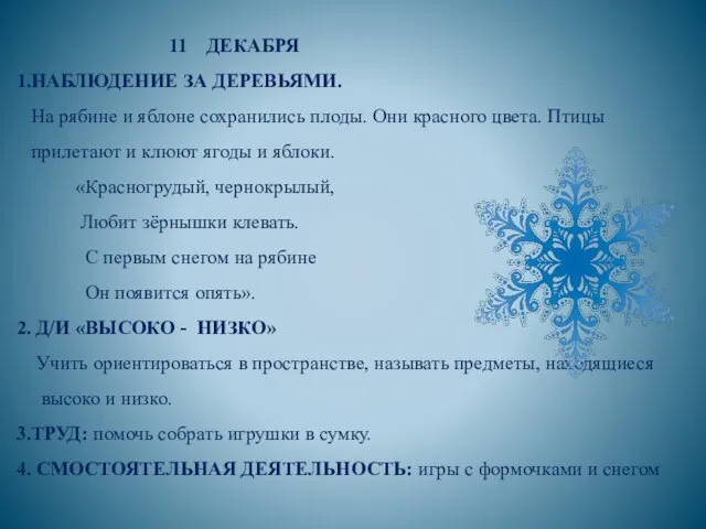 11 ДЕКАБРЯ 1.НАБЛЮДЕНИЕ ЗА ДЕРЕВЬЯМИ. На рябине и яблоне сохранились плоды.