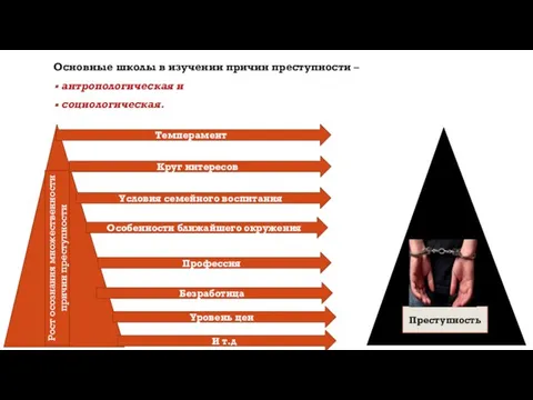 Основные школы в изучении причин преступности – антропологическая и социологическая. Рост