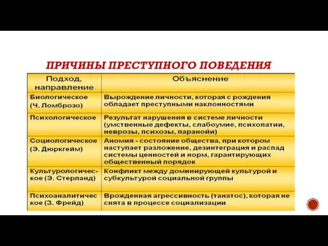 ПРИЧИНЫ ПРЕСТУПНОГО ПОВЕДЕНИЯ