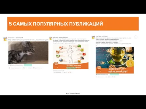 5 САМЫХ ПОПУЛЯРНЫХ ПУБЛИКАЦИЙ NOSUITS l nosuits.ru