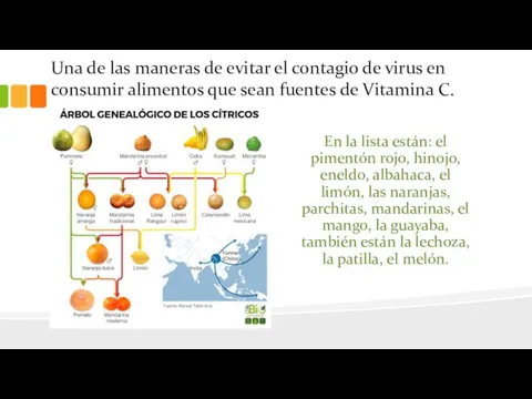 Una de las maneras de evitar el contagio de virus en