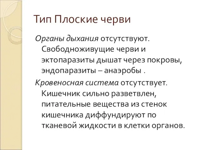 Тип Плоские черви Органы дыхания отсутствуют. Свободноживущие черви и эктопаразиты дышат