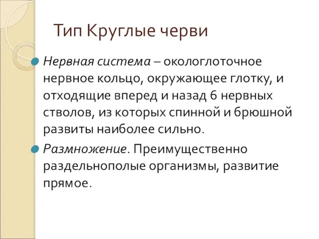 Тип Круглые черви Нервная система – окологлоточное нервное кольцо, окружающее глотку,