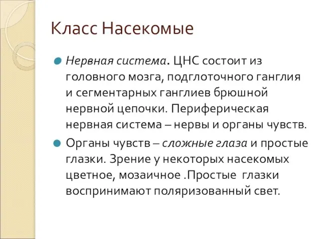 Класс Насекомые Нервная система. ЦНС состоит из головного мозга, подглоточного ганглия