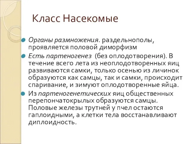 Класс Насекомые Органы размножения. раздельнополы, проявляется половой диморфизм Есть партеногенез (без