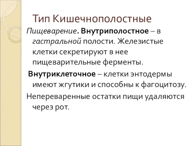 Тип Кишечнополостные Пищеварение. Внутриполостное – в гастральной полости. Железистые клетки секретируют