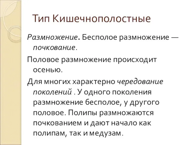 Тип Кишечнополостные Размножение. Бесполое размножение — почкование. Половое размножение происходит осенью.