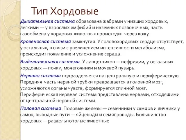 Тип Хордовые Дыхательная система образована жабрами у низших хордовых, легкими —