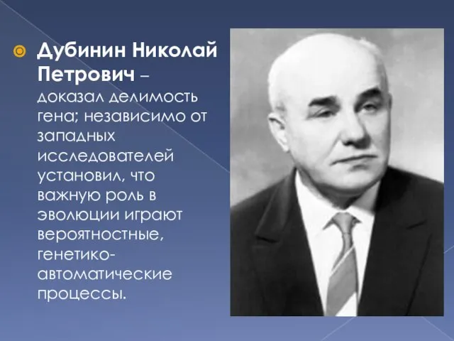 Дубинин Николай Петрович – доказал делимость гена; независимо от западных исследователей