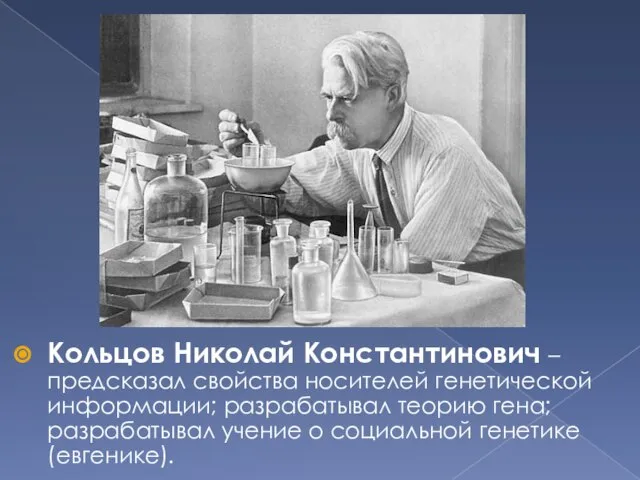 Кольцов Николай Константинович – предсказал свойства носителей генетической информации; разрабатывал теорию