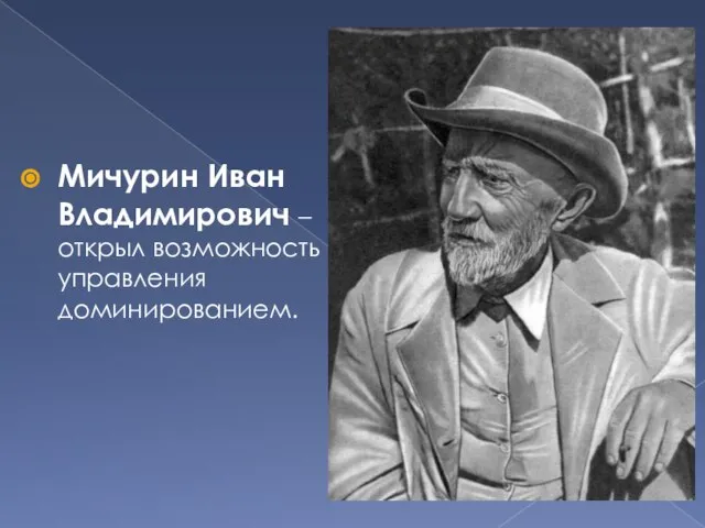 Мичурин Иван Владимирович – открыл возможность управления доминированием.