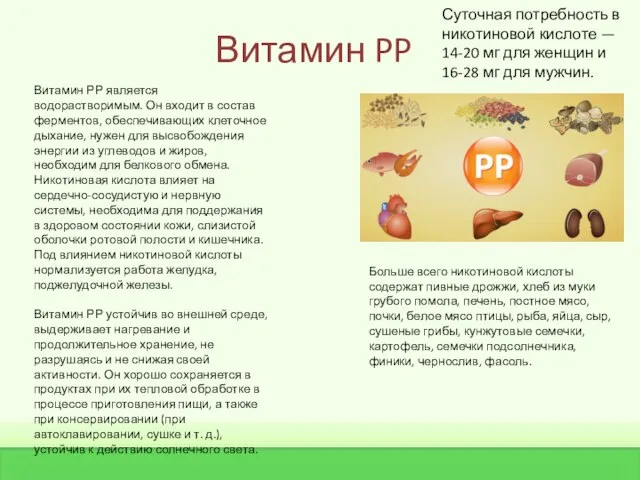 Витамин PP Витамин РР является водорастворимым. Он входит в состав ферментов,