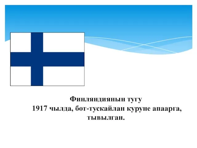 Финляндиянын тугу 1917 чылда, бот-тускайлан куруне апаарга, тывылган.