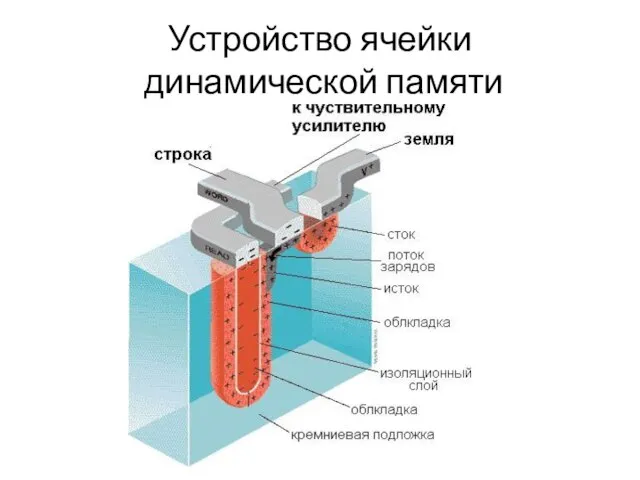 Устройство ячейки динамической памяти