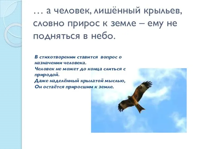 … а человек, лишённый крыльев, словно прирос к земле – ему