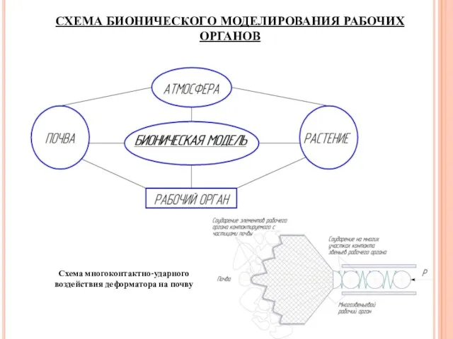 СХЕМА БИОНИЧЕСКОГО МОДЕЛИРОВАНИЯ РАБОЧИХ ОРГАНОВ Схема многоконтактно-ударного воздействия деформатора на почву