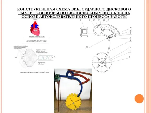 КОНСТРУКТИВНАЯ СХЕМА ВИБРОУДАРНОГО ДИСКОВОГО РЫХЛИТЕЛЯ ПОЧВЫ ПО БИОНИЧЕСКОМУ ПОДОБИЮ НА ОСНОВЕ АВТОКОЛЕБАТЕЛЬНОГО ПРОЦЕССА РАБОТЫ