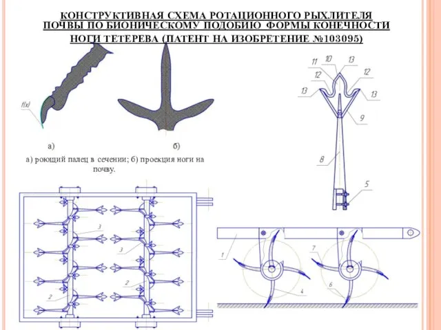 КОНСТРУКТИВНАЯ СХЕМА РОТАЦИОННОГО РЫХЛИТЕЛЯ ПОЧВЫ ПО БИОНИЧЕСКОМУ ПОДОБИЮ ФОРМЫ КОНЕЧНОСТИ НОГИ