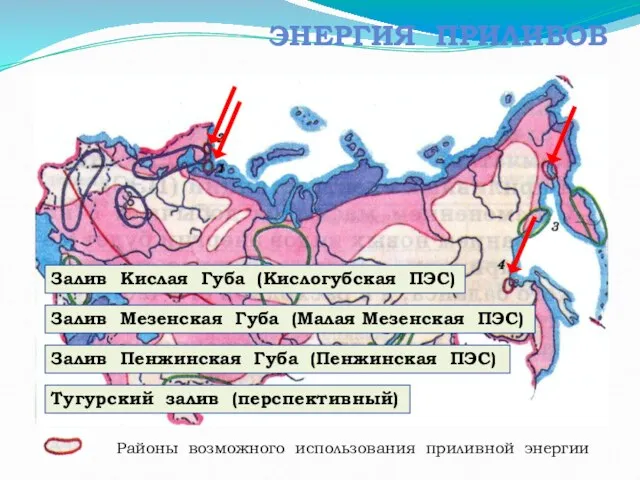 ЭНЕРГИЯ ПРИЛИВОВ Залив Кислая Губа (Кислогубская ПЭС) Залив Мезенская Губа (Малая