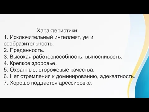 Характеристики: 1. Исключительный интеллект, ум и сообразительность. 2. Преданность. 3. Высокая