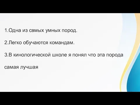 1.Одна из свмых умных пород. 2.Легко обучаются командам. 3.В кинологической школе