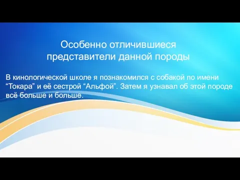 Особенно отличившиеся представители данной породы В кинологической школе я познакомился с