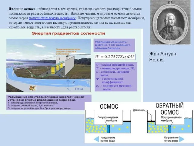 Явление осмоса наблюдается в тех средах, где подвижность растворителя больше подвижности