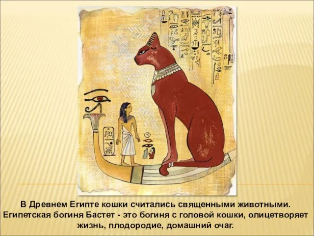 В Древнем Египте кошки считались священными животными. Египетская богиня Бастет -