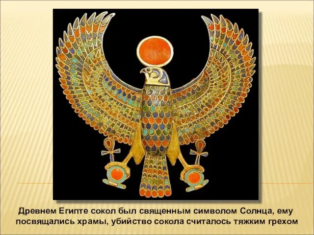 Древнем Египте сокол был священным символом Солнца, ему посвящались храмы, убийство сокола считалось тяжким грехом