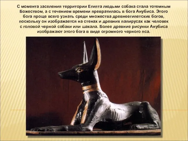 С момента заселения территории Египта людьми собака стала тотемным Божеством, а