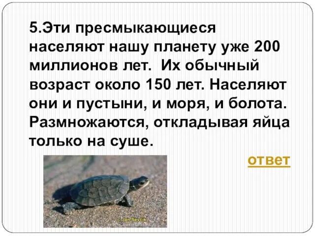 5.Эти пресмыкающиеся населяют нашу планету уже 200 миллионов лет. Их обычный