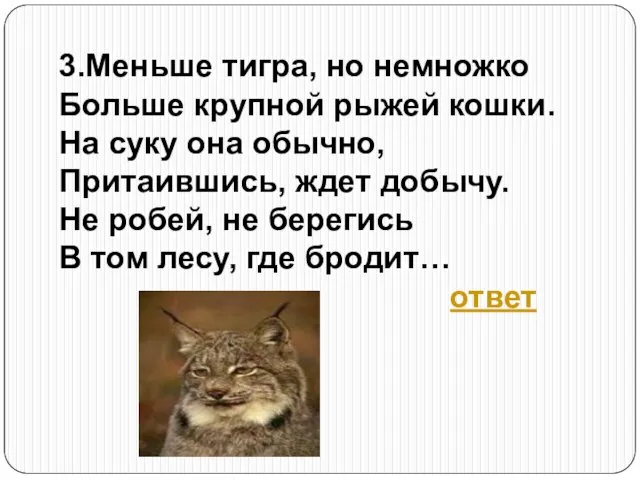 3.Меньше тигра, но немножко Больше крупной рыжей кошки. На суку она