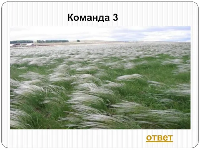 Команда 3 ответ