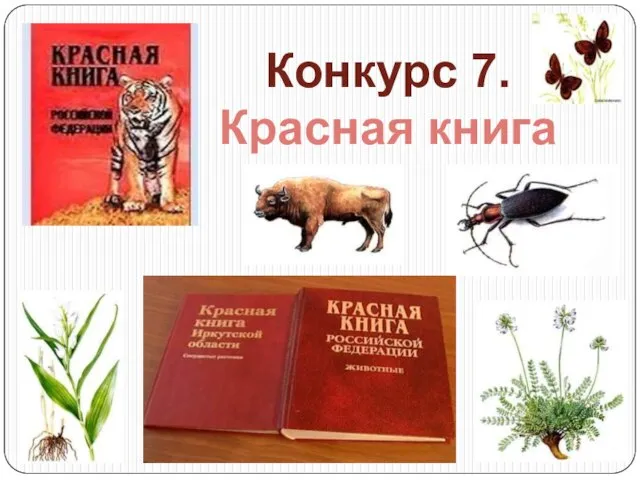 Конкурс 7. Красная книга