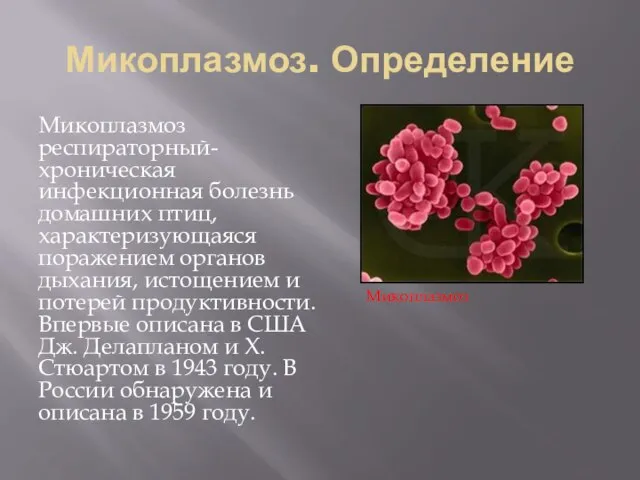 Микоплазмоз. Определение Микоплазмоз респираторный- хроническая инфекционная болезнь домашних птиц, характеризующаяся поражением