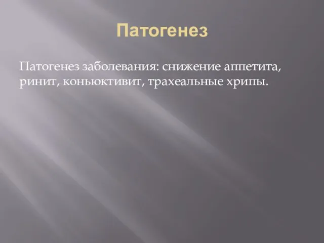 Патогенез Патогенез заболевания: снижение аппетита, ринит, коньюктивит, трахеальные хрипы.