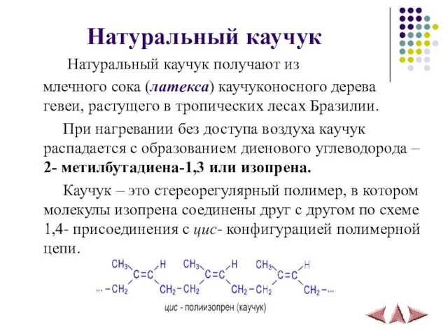 Натуральный каучук Натуральный каучук получают из млечного сока (латекса) каучуконосного дерева