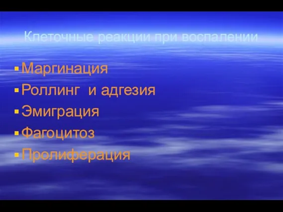 Клеточные реакции при воспалении Маргинация Роллинг и адгезия Эмиграция Фагоцитоз Пролиферация