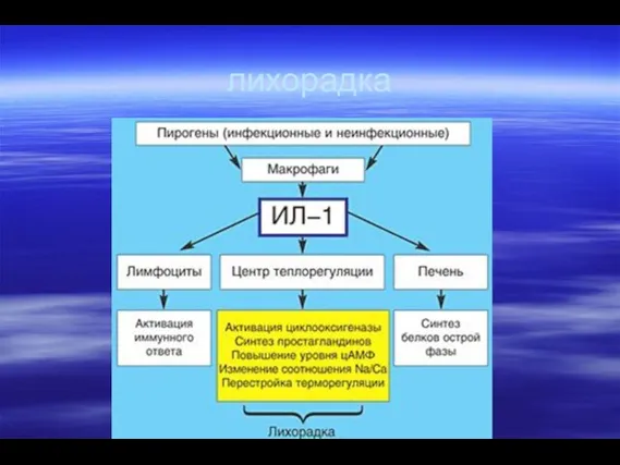 лихорадка