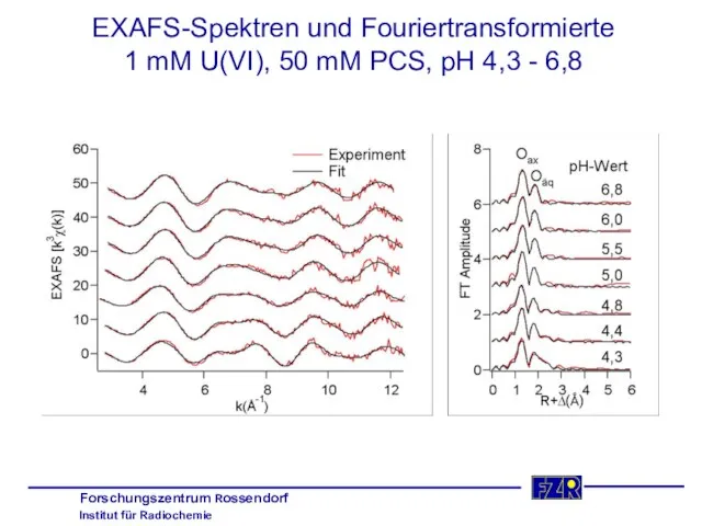 EXAFS-Spektren und Fouriertransformierte 1 mM U(VI), 50 mM PCS, pH 4,3 - 6,8