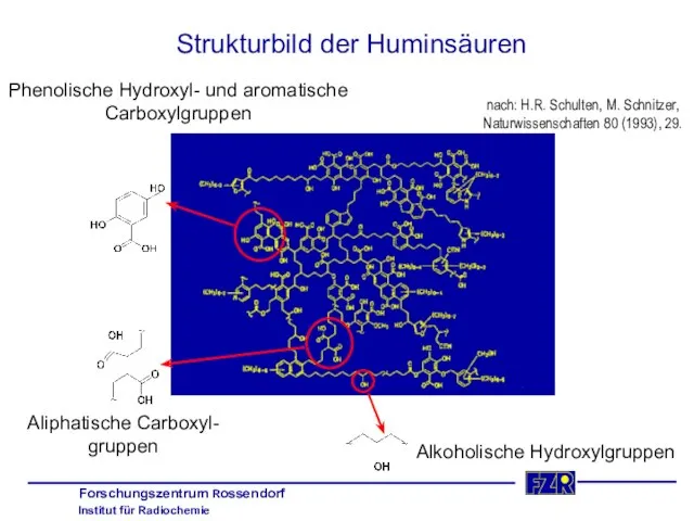 Strukturbild der Huminsäuren Aliphatische Carboxyl- gruppen Alkoholische Hydroxylgruppen Phenolische Hydroxyl- und