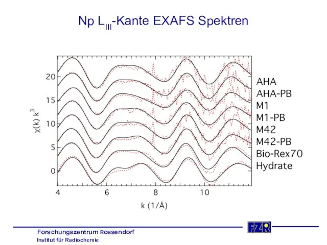 Np LIII-Kante EXAFS Spektren