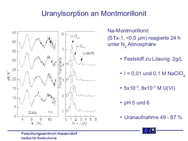 Uranylsorption an Montmorillonit Na-Montmorillonit (STx-1, Feststoff zu Lösung: 2g/L I =