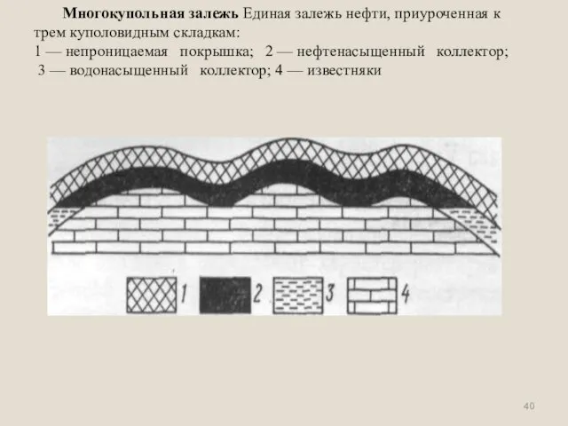 Многокупольная залежь Единая залежь нефти, приуроченная к трем куполовидным складкам: 1