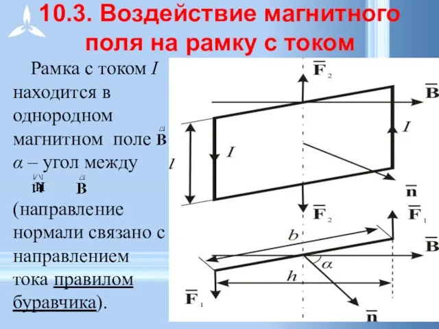 10.3. Воздействие магнитного поля на рамку с током Рамка с током